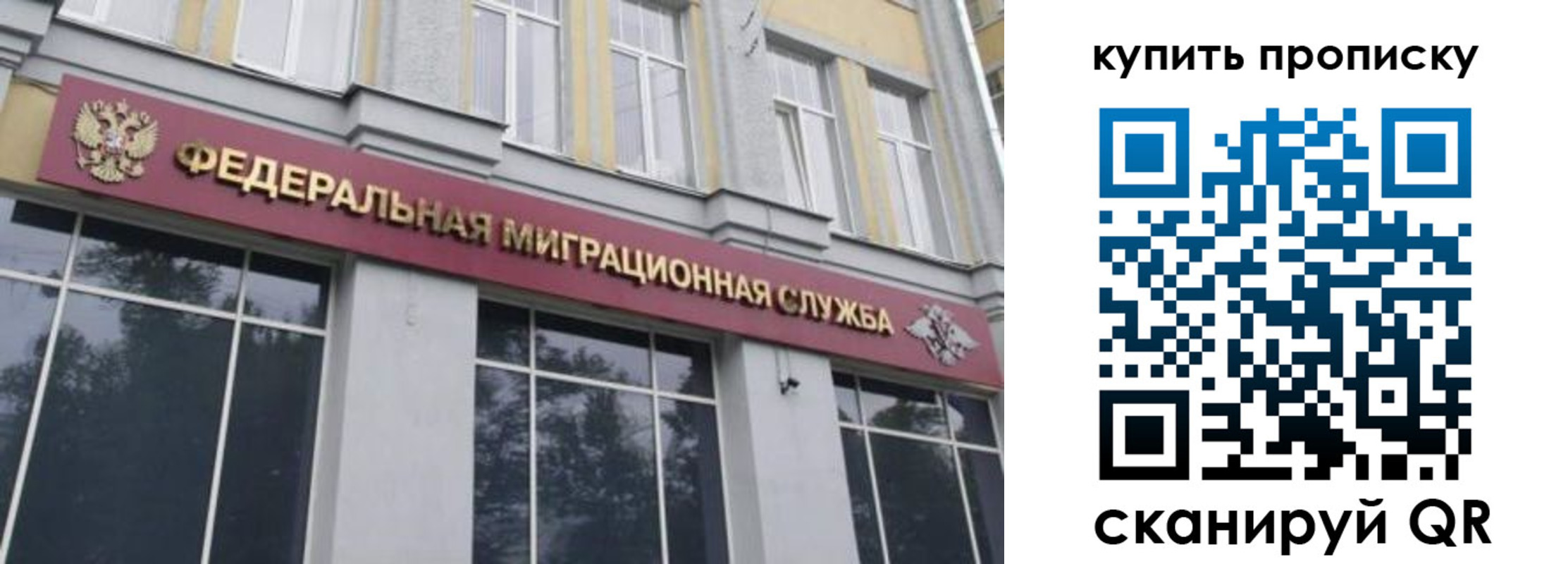 прописка поиск в Бокситогорске